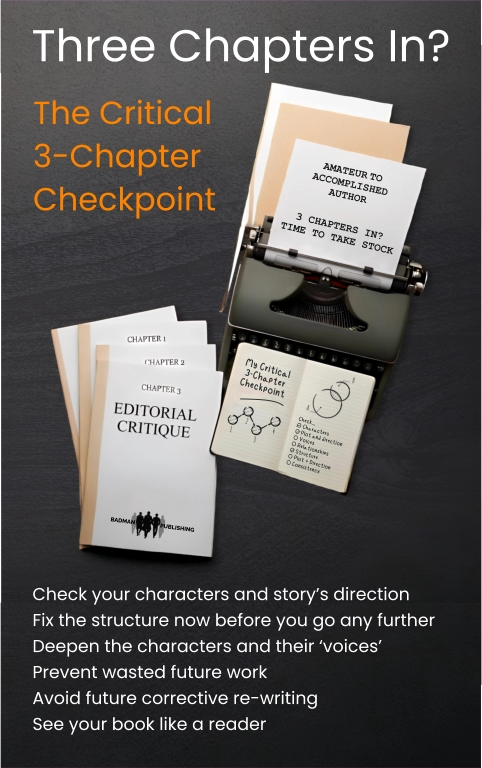 Three chapters in Ad for Badman Publishing